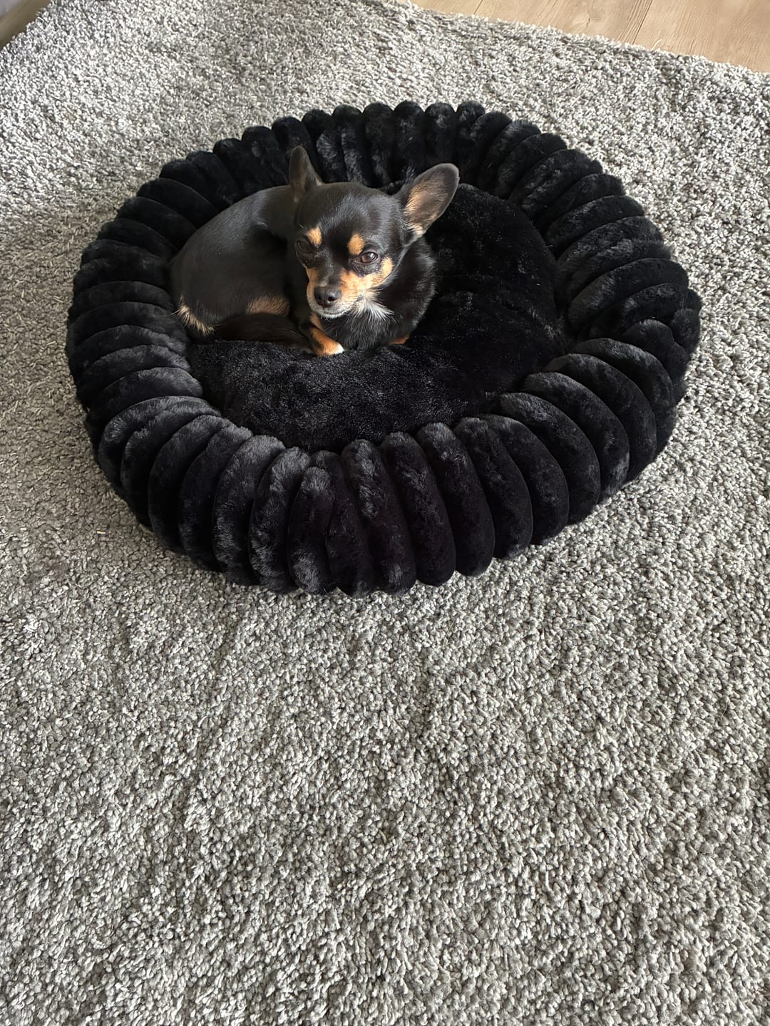 Customer photo review of Pet Perfect Hoes (ZONDER VULLING) voor Orthopedische Donutmand - ZONDER VULLING