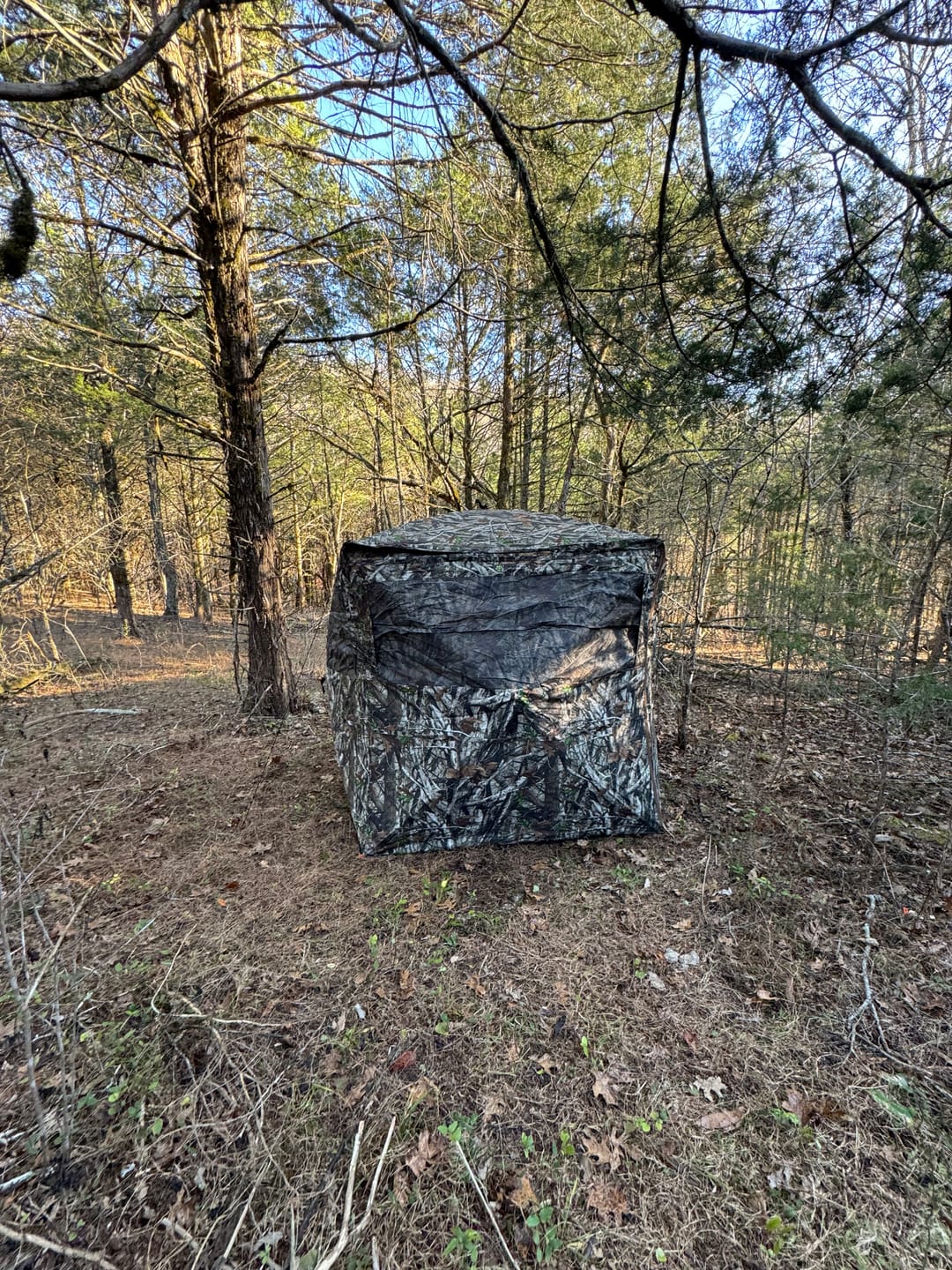 Customer photo review of OptiVue 360° Ultra-HD See-Through Hunting Blind with 90° Full-Access Door
