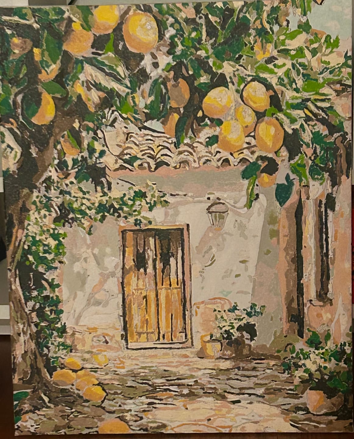 Customer photo review of Lemon Yard