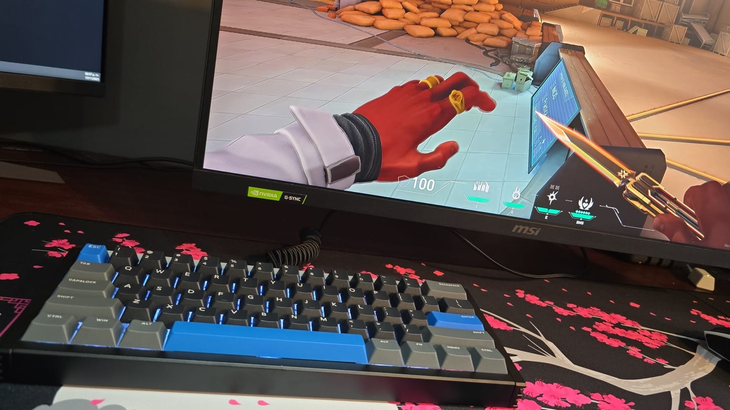 Customer photo review of IQUNIX EZ60/EZ63 HE