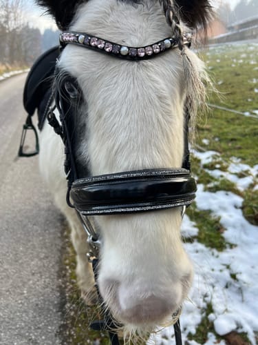 Customer photo review of Nasenriemen Glamourös