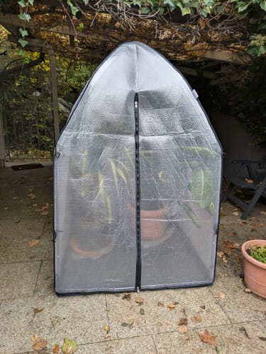 Kühn review of Überwinterungszelt "ICEDOME ThermoPLUS" L 120 x B 120 x H 183 cm image 1 out of 2