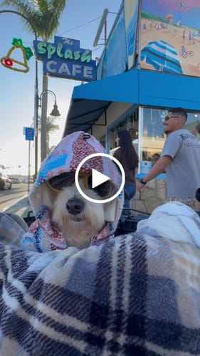 Customer video review of Playa Poncho - Surprise Color