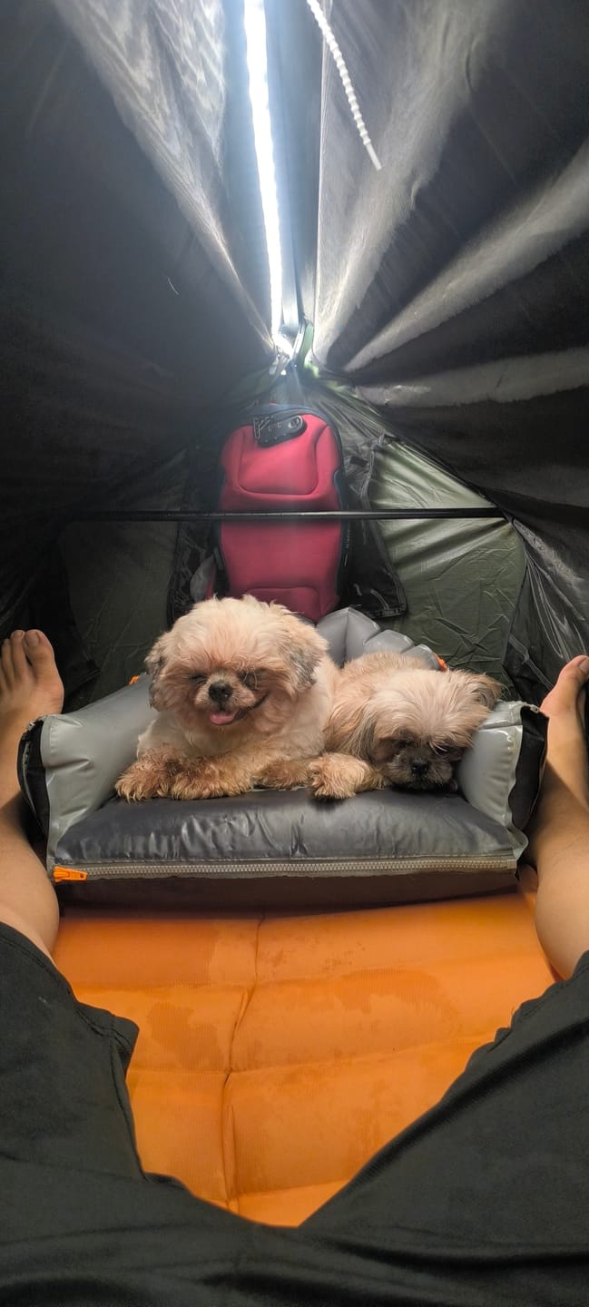 Customer photo review of Haven Tent Rainfly