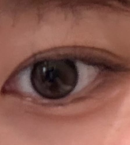 Customer photo review of Bean Kristin - ショートブラウン