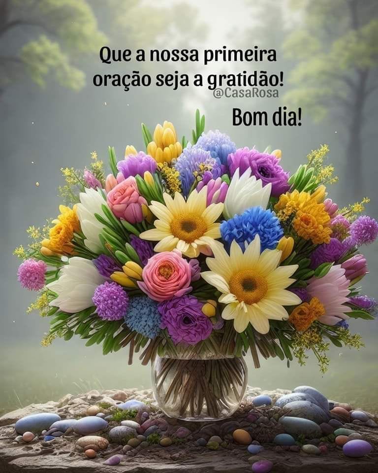 Customer photo review of Selante VedaTudo - Original Contra Infiltrações