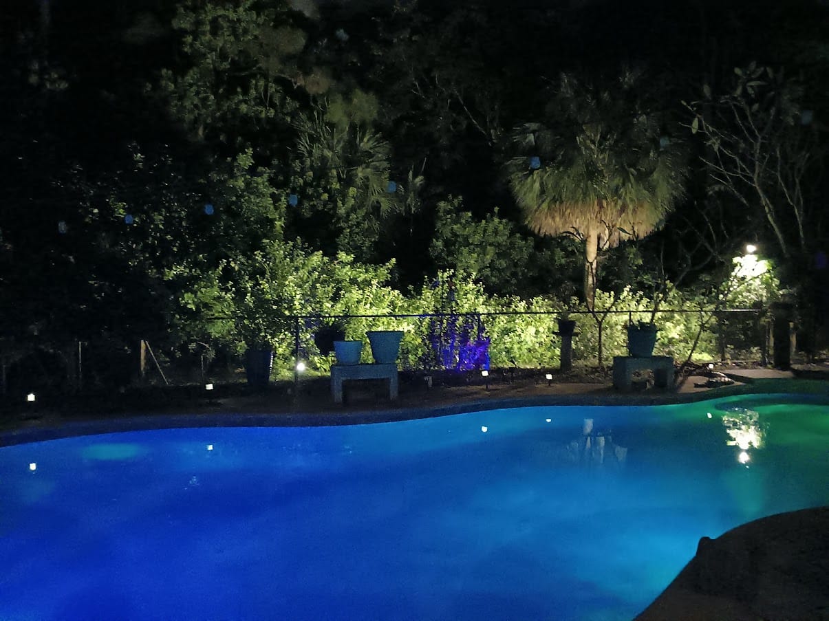 Customer photo review of TSUN 4 Heads LED Spotlight Warm White Landscape Lighting Kits
