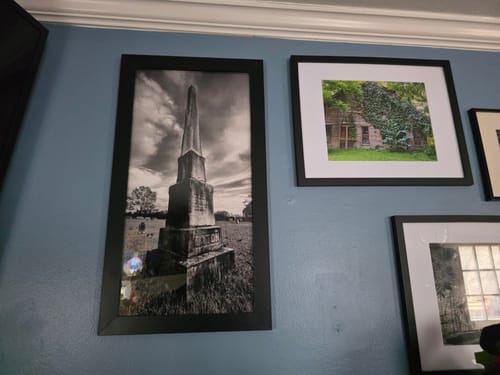 Customer photo review of 10x20 Photo Prints