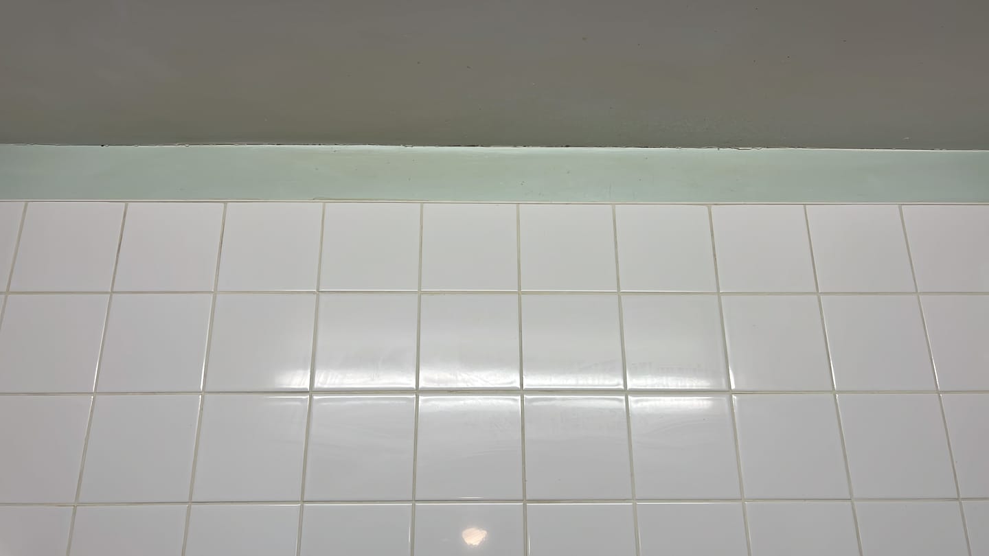 Customer photo review of Genie Grease Be Gone