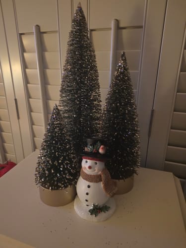 Customer photo review of Aynsley Snowman & Robin Figurine