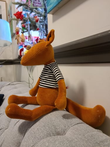 Customer photo review of ARTHUS, LE RENARD - L - MADE IN FRANCE