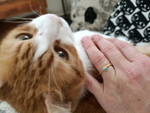 Customer photo review of טבעת סיליה