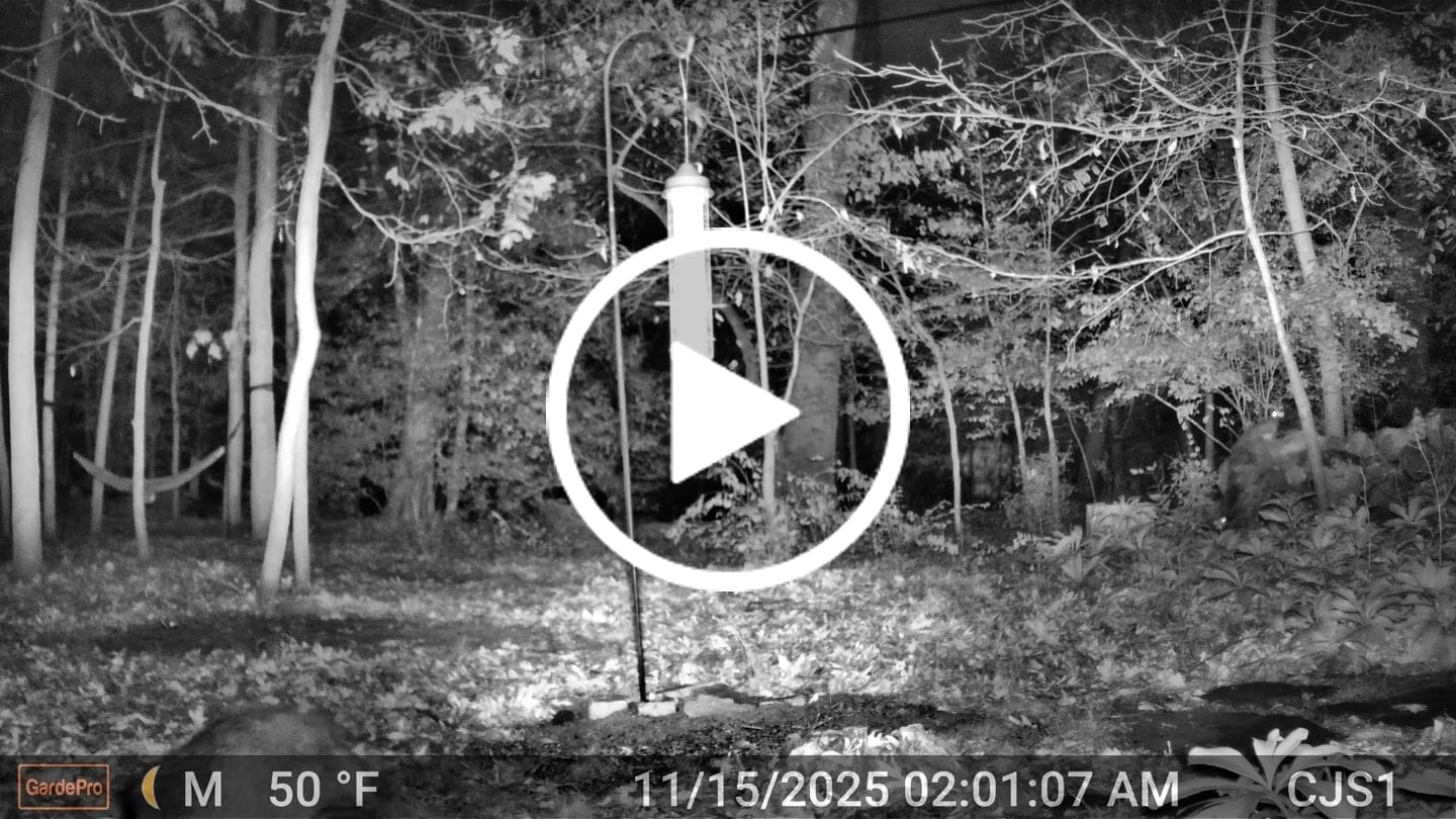 Customer video review of GardePro E8 2.0 Pro Wi-Fi Trail Camera