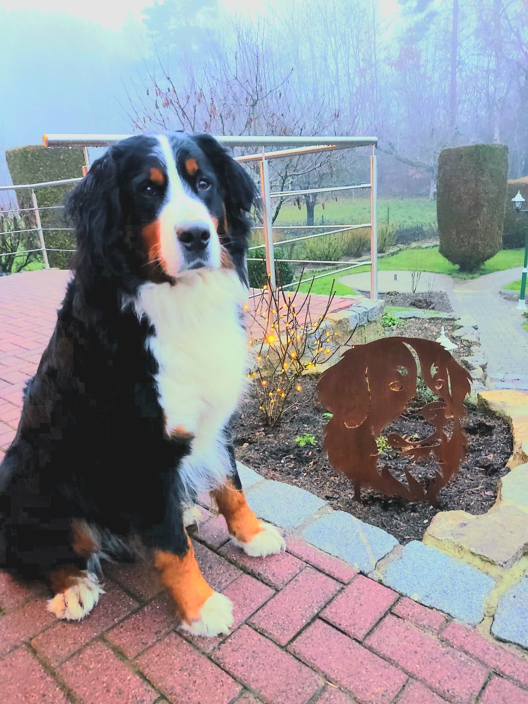 Customer photo review of Gartenstecker Berner Sennenhund Portrait