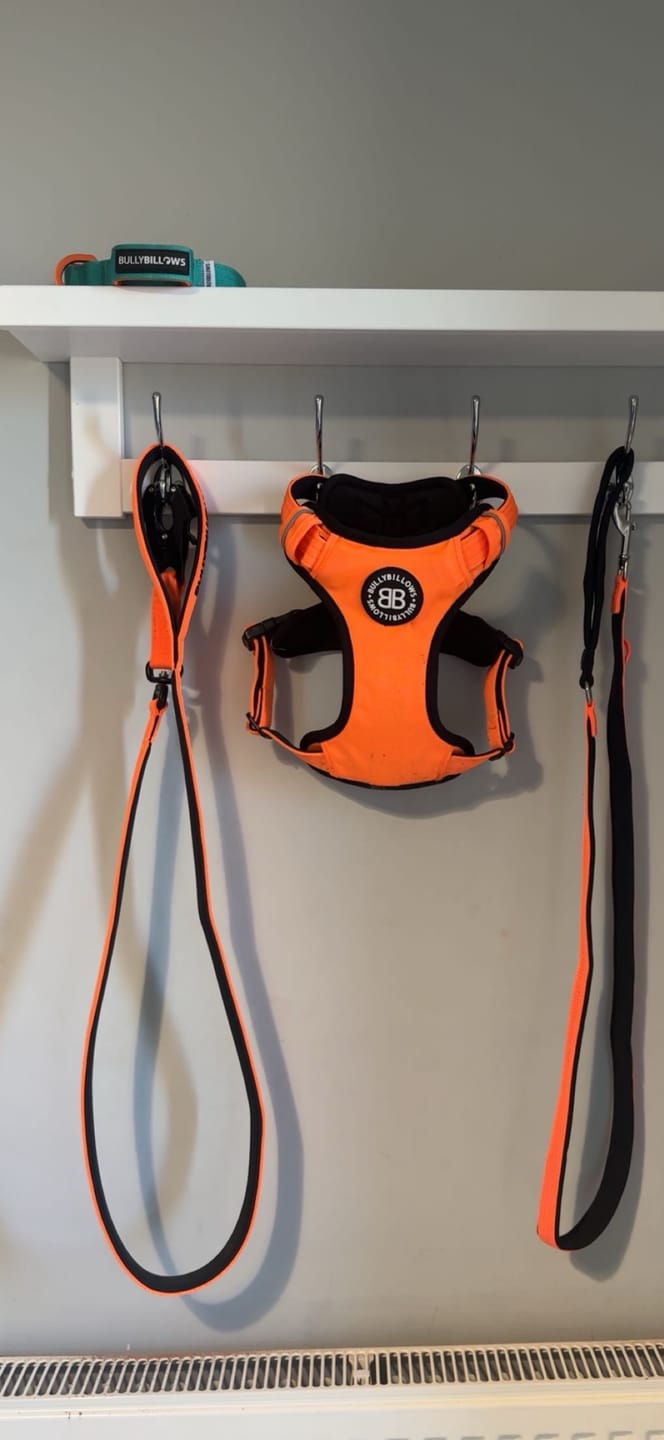 Customer photo review of 1.4m Swivel Combat Lead | Anti-Tangle & Secure Clip - Orange