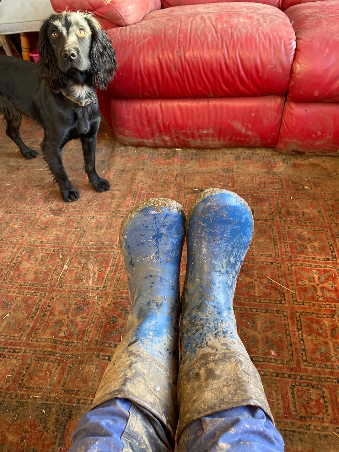 Customer photo review of Brisk Ⅰ - Barefoot Rain Boots
