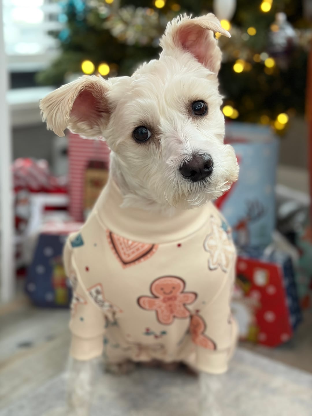 Customer photo review of Dog Christmas Pajama - Frosty Night