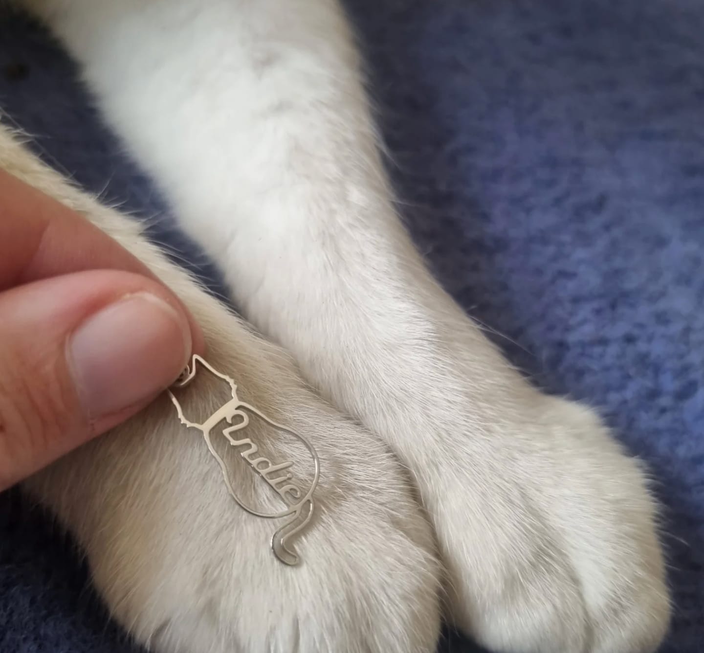 Customer photo review of Personalizovaný náhrdelník se jménem kočky