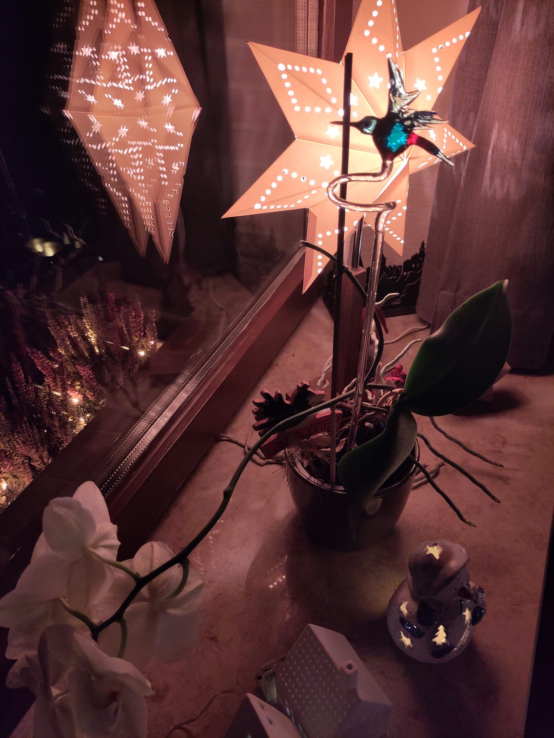 Customer photo review of Orchideenstab Eisvogel