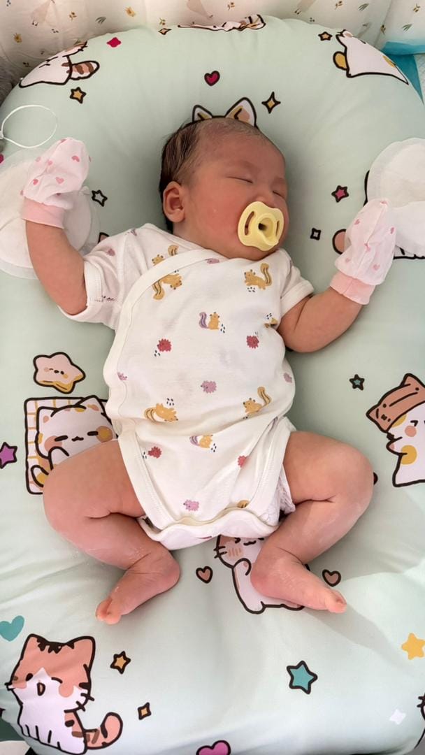 Customer photo review of Organic Duck-Down Feather Infant Lounger | Co-Sleeping, Lounging, Play-Time