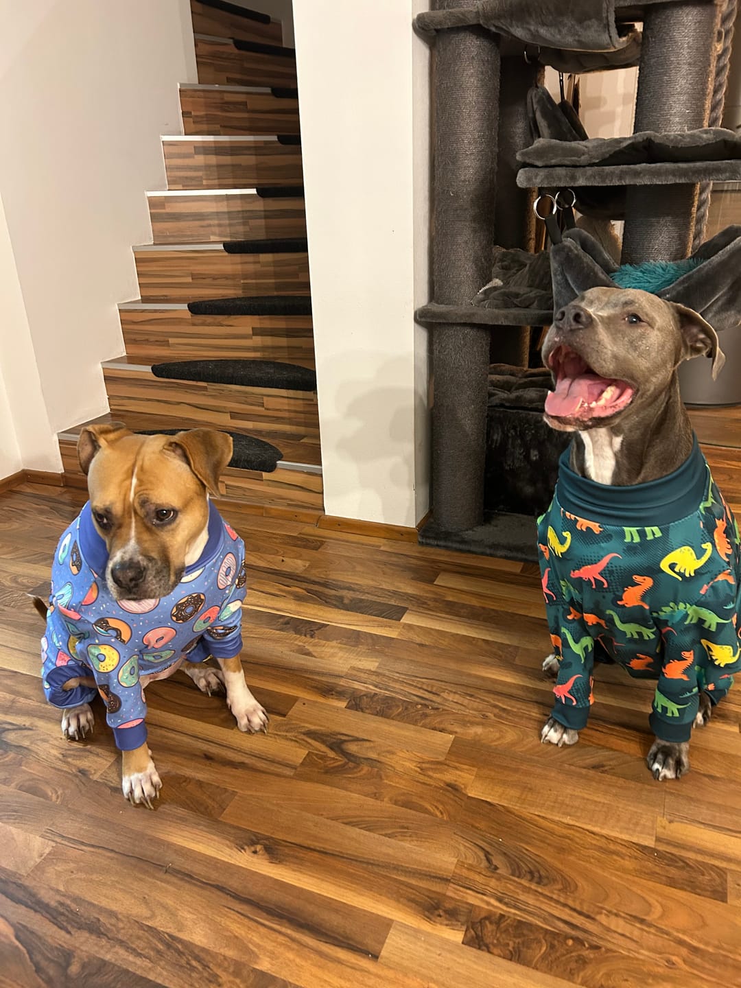 Customer photo review of Dog Pajama - Donuts