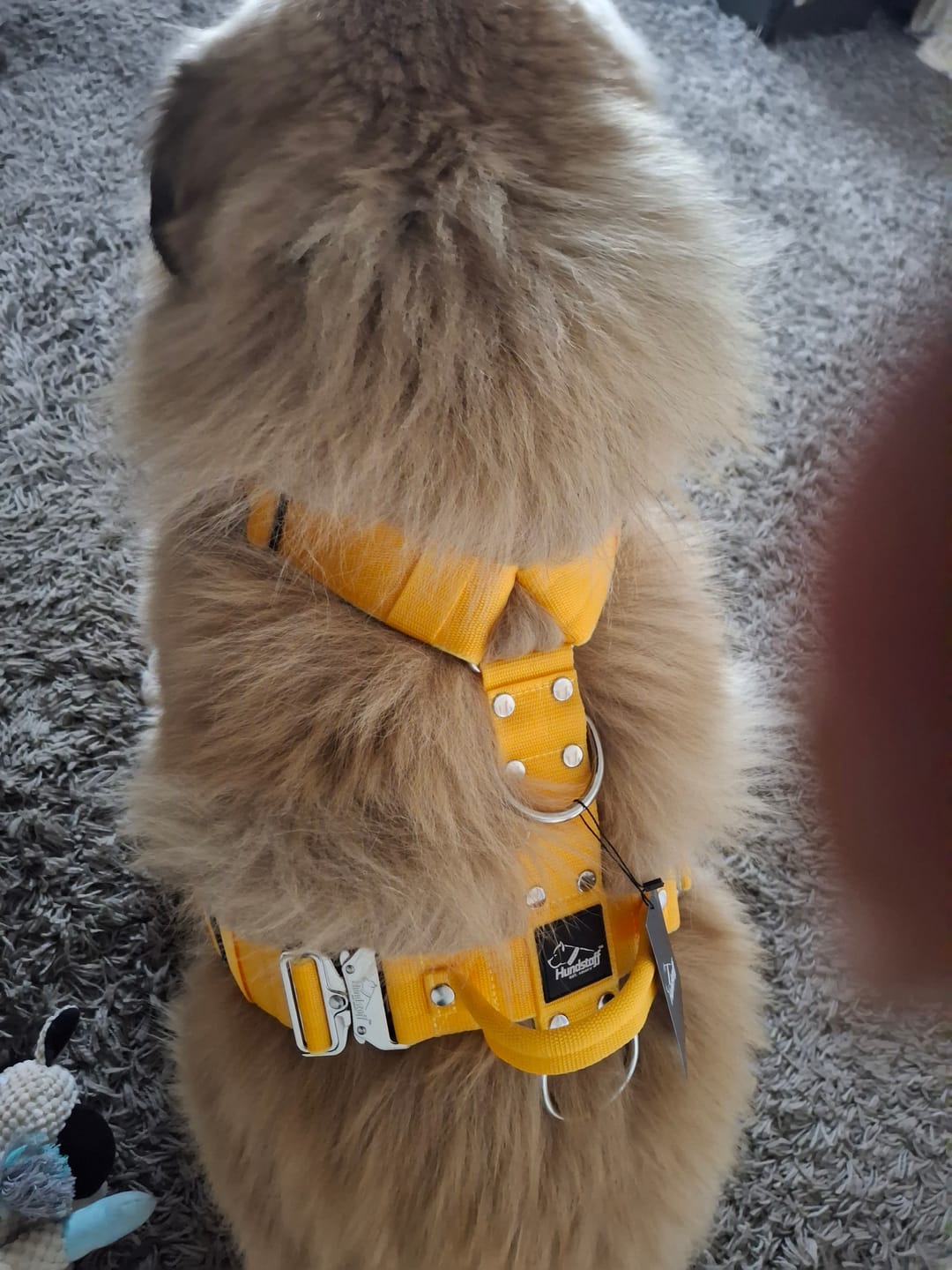 Customer photo review of Multileash Gult - Starkt justerbart multikoppel