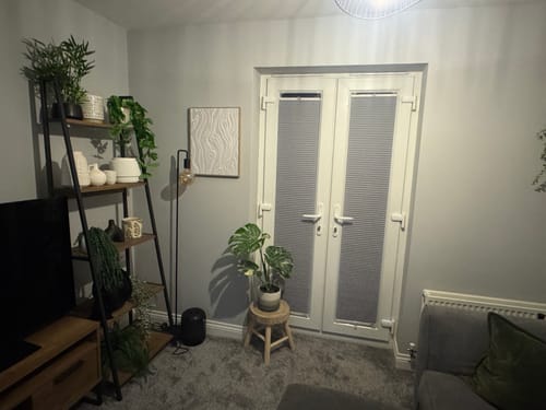 Customer photo review of Pianta LED Grow Light Bulb : Black