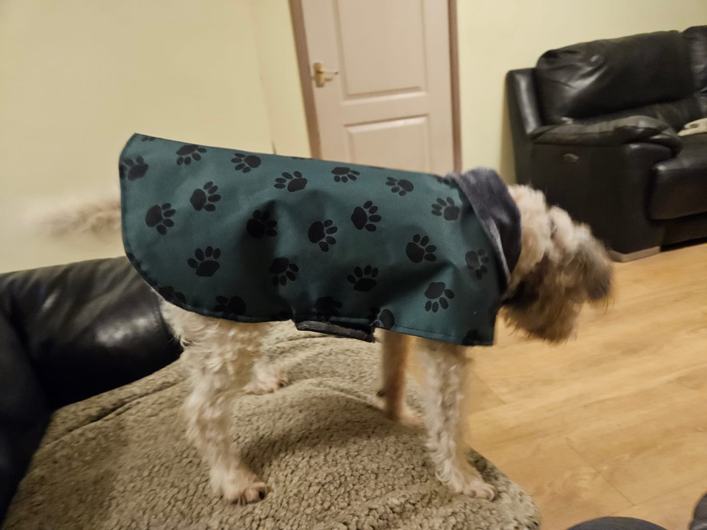 Customer photo review of Paw Print Heavy Duty Waterproof Fabric