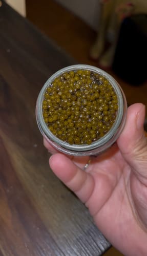 Customer photo review of CAVI's Caviar Tin Opener