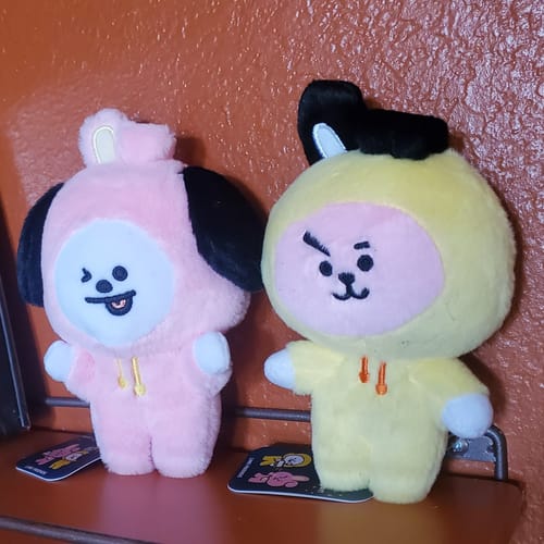 Customer photo review of BT21 JAPAN - Official Full Of Cooky Plush Doll Special Edition 20cm