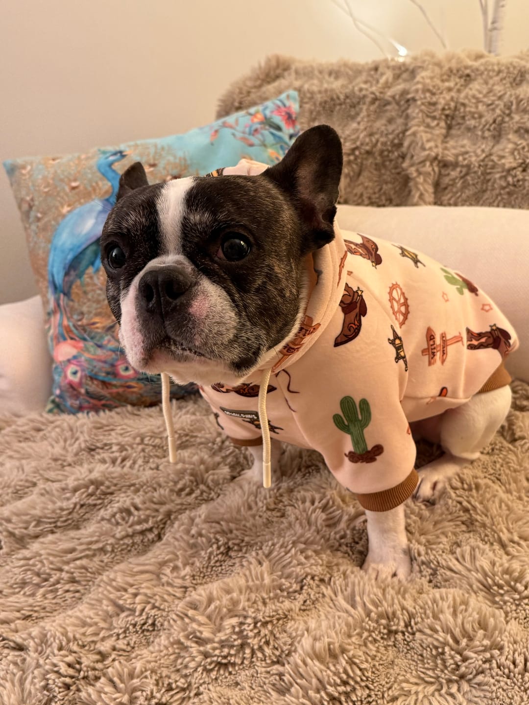 Customer photo review of Rodeo Dog Hoodie