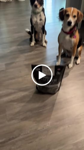 Customer video review of Medium Dog Black Friday Bundle (Your 12oz Jerky+4 Med Bones)
