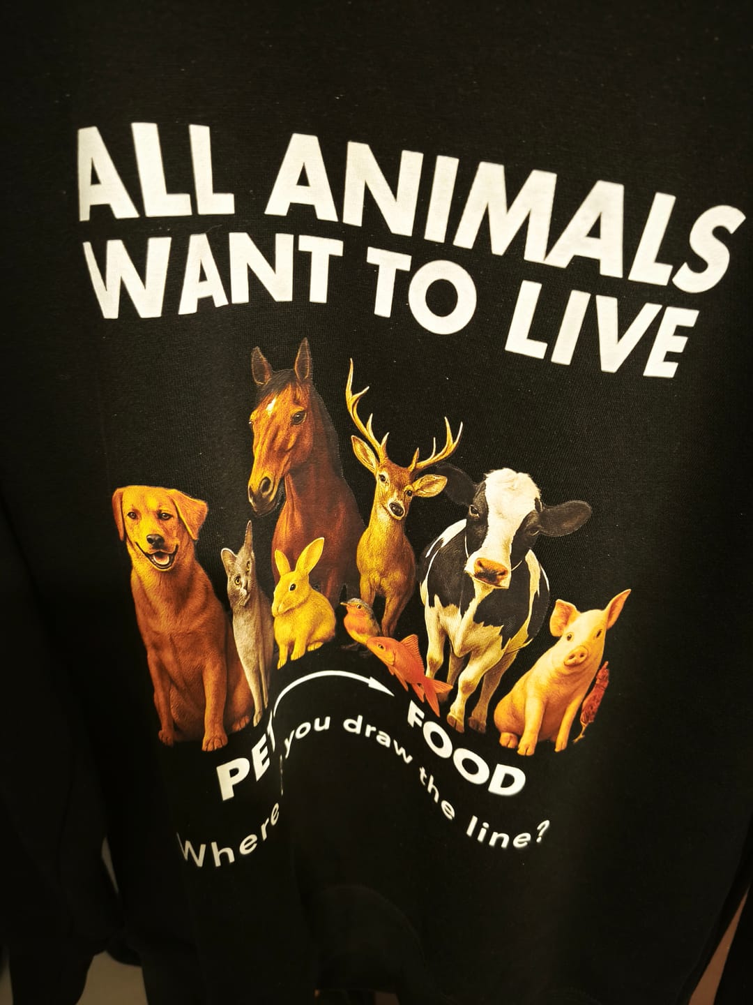 Customer photo review of Unisex Crew Neck Sweatshirt