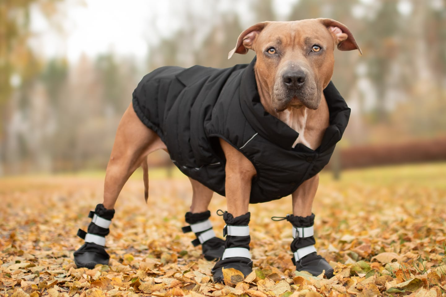 Customer photo review of WarmShield Water-Resistant Jacket - Black