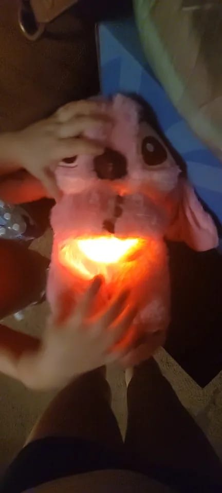 Customer photo review of Peluche Sttitch qui respire