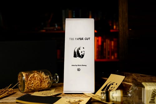 Customer photo review of The Paper Cut by Elvis Zheng and TCC