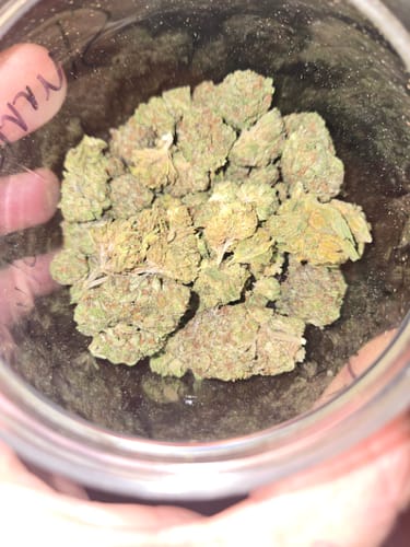 Customer photo review of Georgia Pie THCA Flower