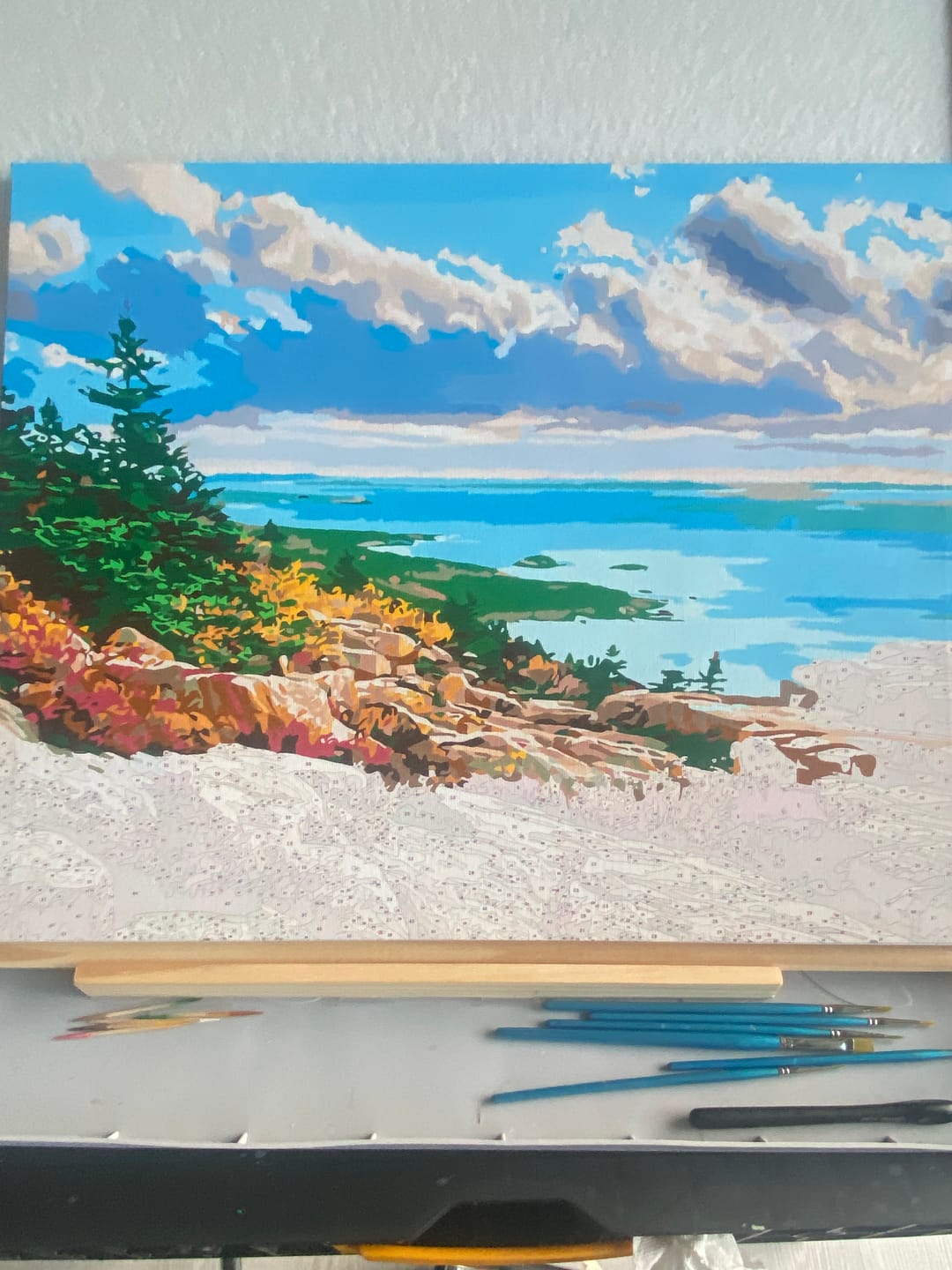 Customer photo review of Acadia National Park