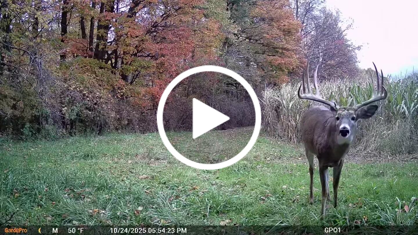 Customer video review of GardePro X66 Pro Cellular Trail Camera-(USA/CA Model)