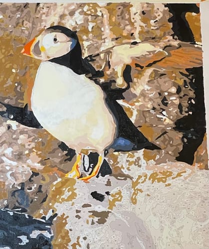 Customer photo review of Custom Pet Paint By Numbers