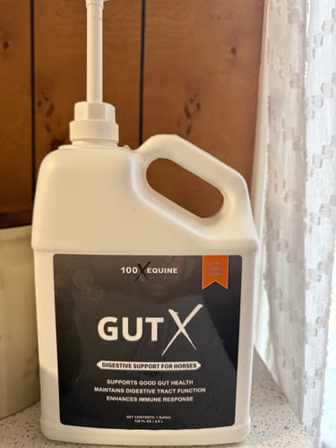 Reviewer's large white jug of Gut X digestive support for horses, shown with a pump dispenser.