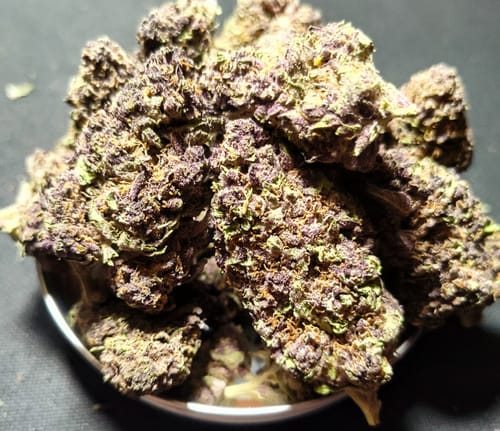 Customer photo review of Granddaddy Purple - Bulk - Indica