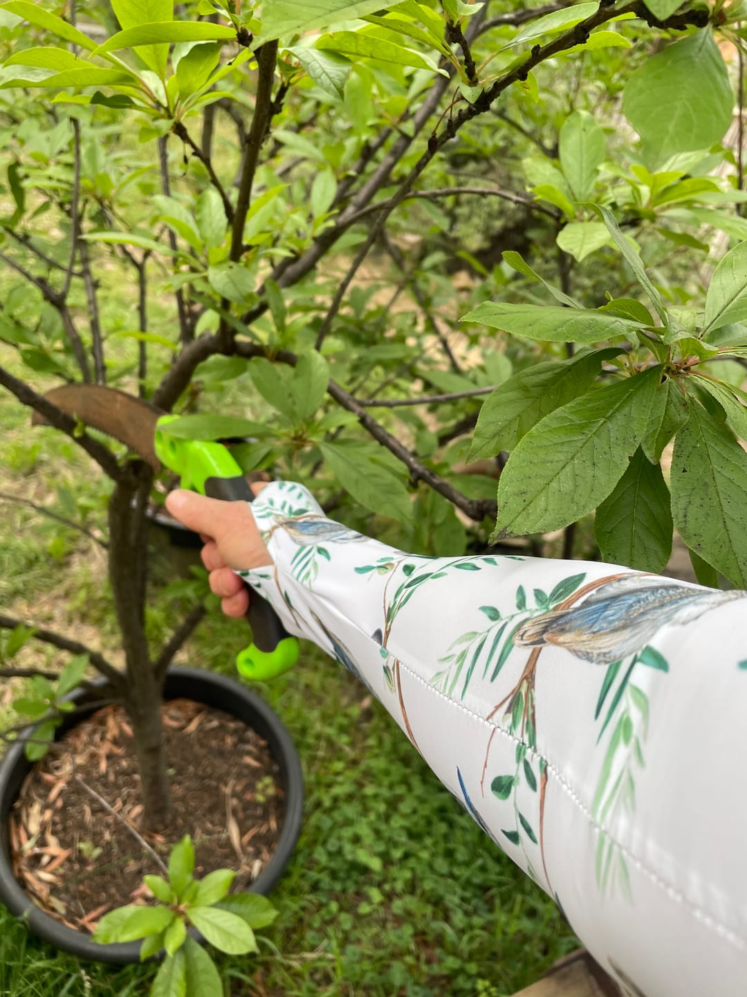 Customer photo review of Gardening Protection Sleeves - Kookaburra White