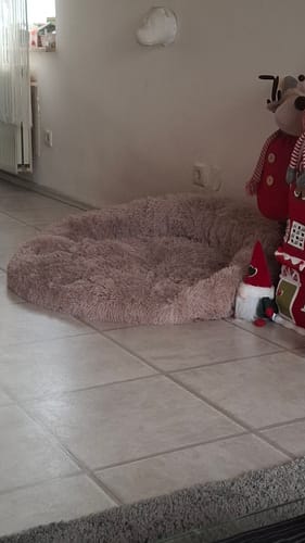 Customer photo review of Hundebett - Katzenbett rund Wuscheldonut