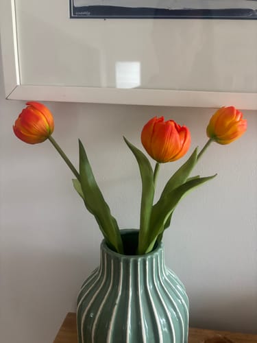 Customer photo review of Orange Real touch tulips (3 stems)