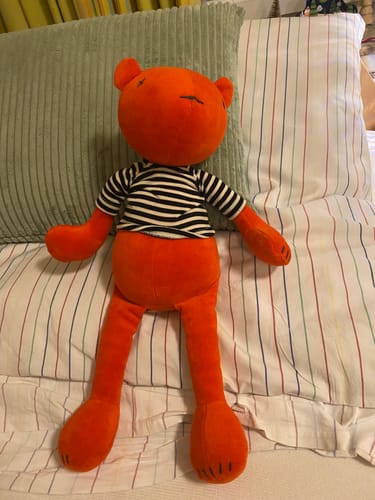 Customer photo review of JERMAINE, L’OURSON - L