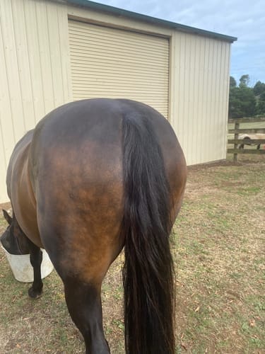 Customer photo review of MetaboLize®
