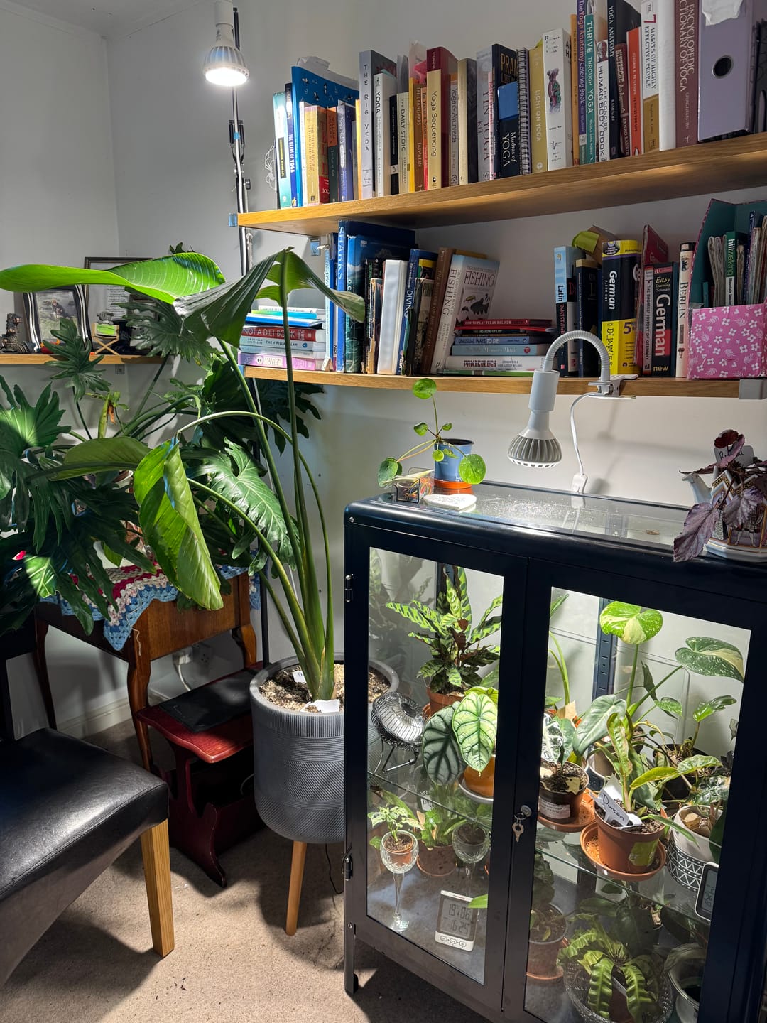 Customer photo review of Stelo Gooseneck Clip-On Bulb Holder