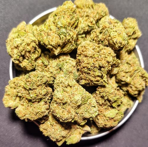 Customer photo review of Red Runtz - Bulk - Indica