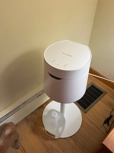Customer photo review of Carepod One Plus with Stand - Stainless Steel Humidifier with Mood Light